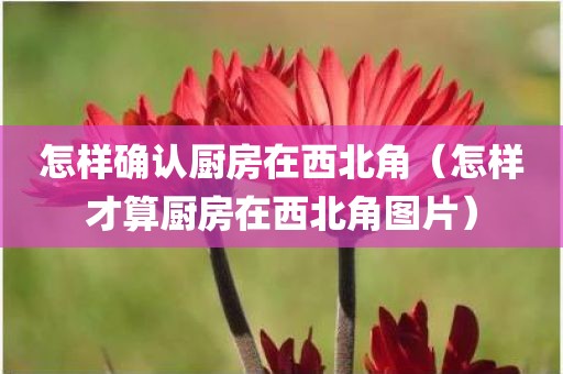 怎样确认厨房在西北角（怎样才算厨房在西北角图片）