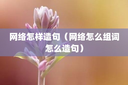 网络怎样造句（网络怎么组词怎么造句）