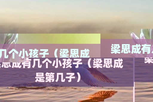 梁思成有几个小孩子（梁思成是第几子）