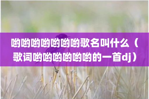 哟哟哟哟哟哟哟歌名叫什么(歌词哟哟哟哟哟哟的一首dj)
