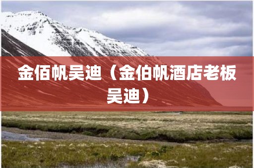 金佰帆吴迪（金伯帆酒店老板吴迪）