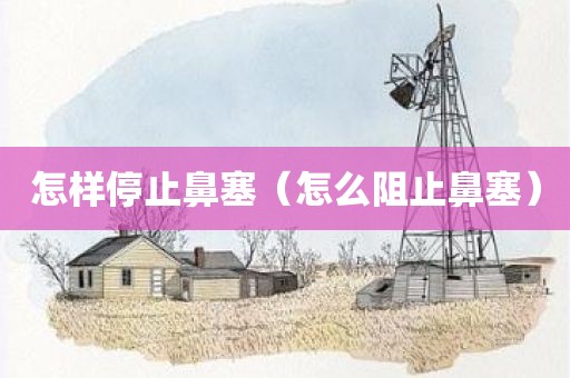怎样停止鼻塞（怎么阻止鼻塞）