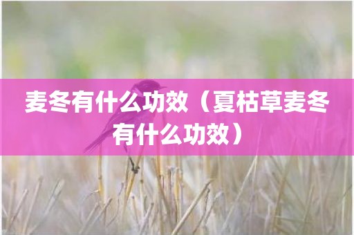 麦冬有什么功效（夏枯草麦冬有什么功效）
