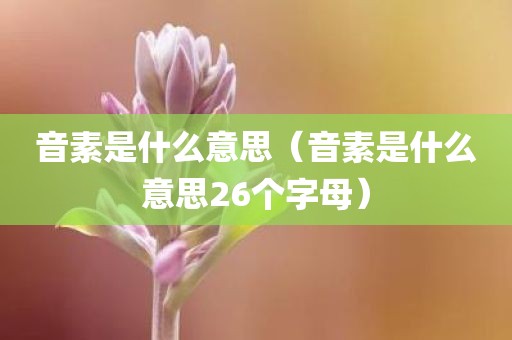 音素是什么意思（音素是什么意思26个字母）