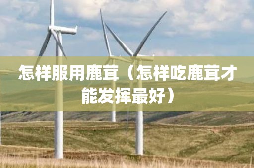 怎样服用鹿茸（怎样吃鹿茸才能发挥最好）