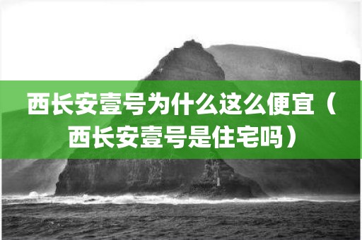 西长安壹号为什么这么便宜（西长安壹号是住宅吗）