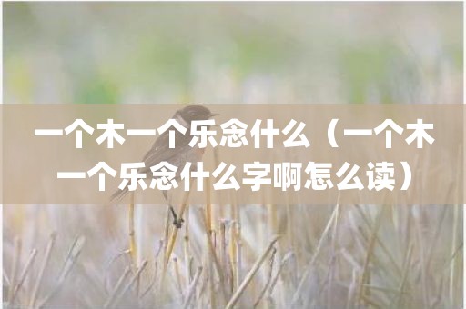 一个木一个乐念什么（一个木一个乐念什么字啊怎么读）
