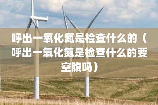 呼出一氧化氮是检查什么的（呼出一氧化氮是检查什么的要空腹吗）