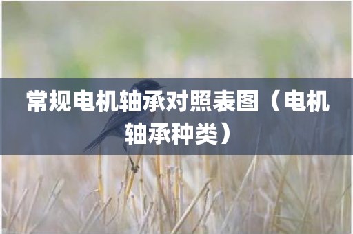 常规电机轴承对照表图（电机轴承种类）