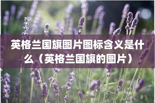 英格兰国旗图片图标含义是什么（英格兰国旗的图片）