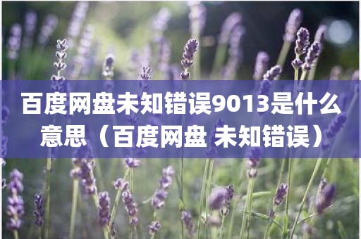 百度网盘未知错误9013是什么意思（百度网盘 未知错误）
