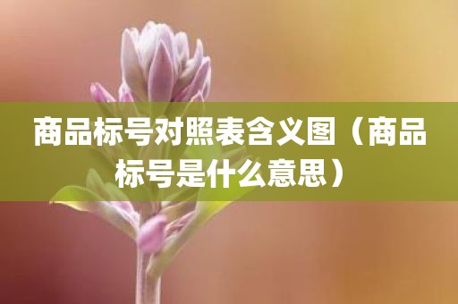 商品标号对照表含义图（商品标号是什么意思）