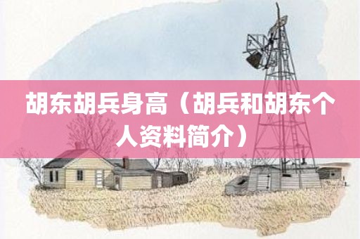胡东胡兵身高（胡兵和胡东个人资料简介）