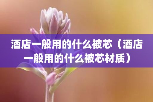 酒店一般用的什么被芯（酒店一般用的什么被芯材质）