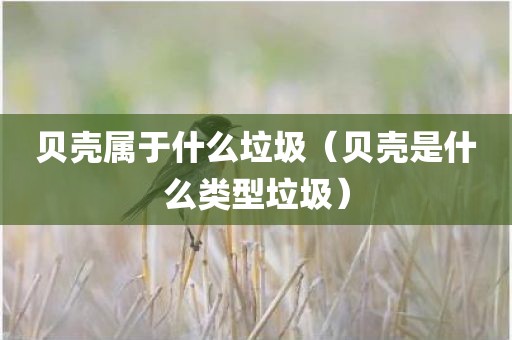 贝壳属于什么垃圾（贝壳是什么类型垃圾）