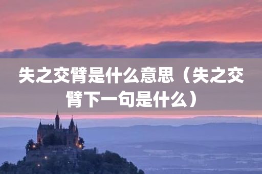 失之交臂是什么意思（失之交臂下一句是什么）