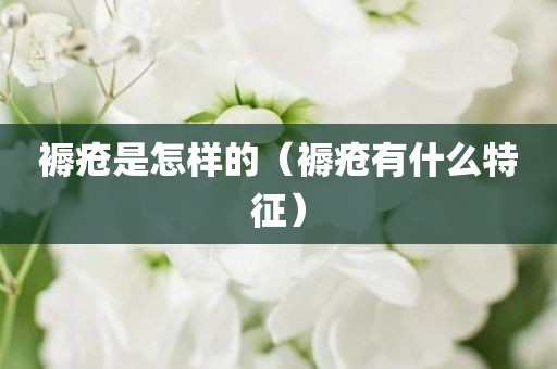 褥疮是怎样的（褥疮有什么特征）