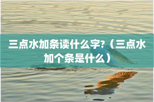 三点水加条读什么字?（三点水加个条是什么）