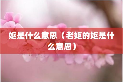 妪是什么意思(老妪的妪是什么意思)
