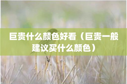 巨贵什么颜色好看（巨贵一般建议买什么颜色）