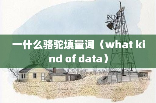 一什么骆驼填量词(what kind of data)