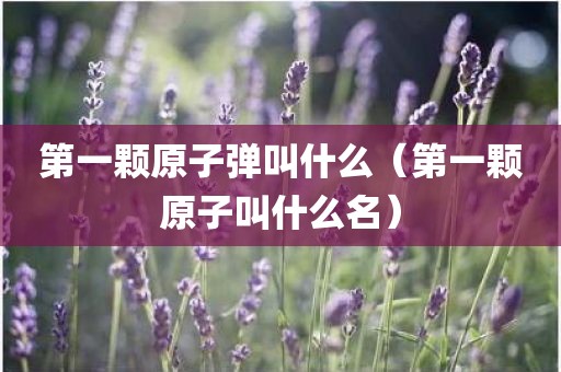 第一颗原子弹叫什么（第一颗原子叫什么名）