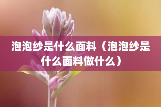 泡泡纱是什么面料（泡泡纱是什么面料做什么）