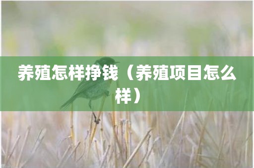 养殖怎样挣钱（养殖项目怎么样）