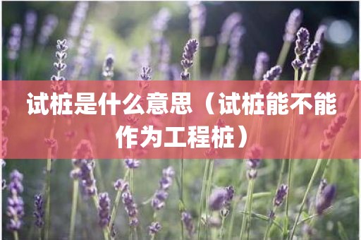 试桩是什么意思（试桩能不能作为工程桩）