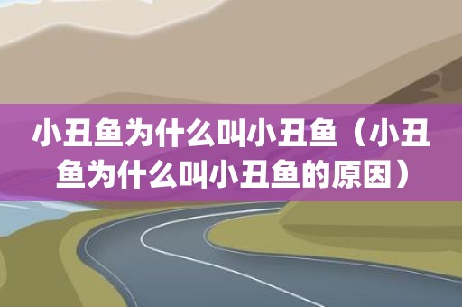 小丑鱼为什么叫小丑鱼（小丑鱼为什么叫小丑鱼的原因）