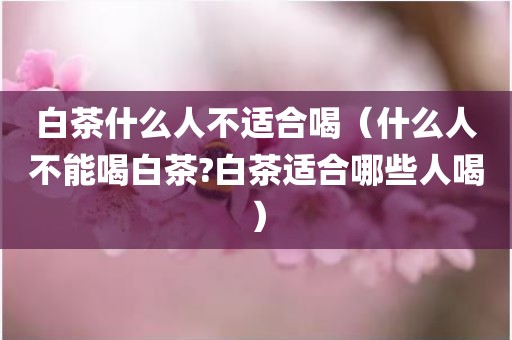 白茶什么人不适合喝(什么人不能喝白茶?白茶适合哪些人喝)