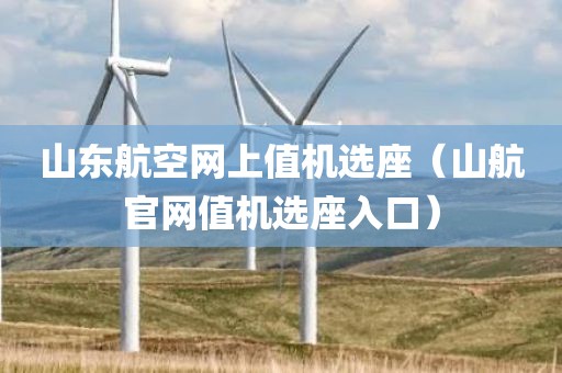 山东航空网上值机选座（山航官网值机选座入口）