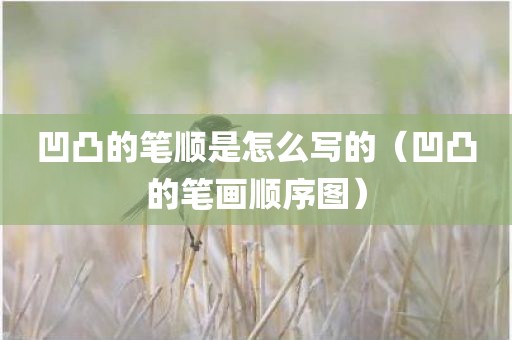 凹凸的笔顺是怎么写的（凹凸的笔画顺序图）