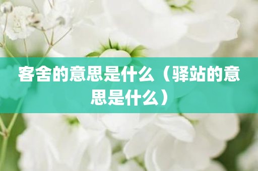 客舍的意思是什么（驿站的意思是什么）