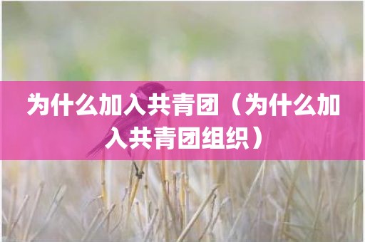 为什么加入共青团（为什么加入共青团组织）