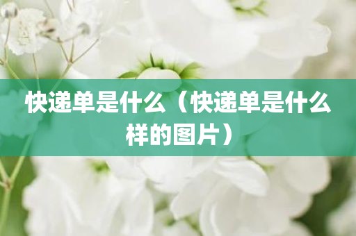 快递单是什么（快递单是什么样的图片）