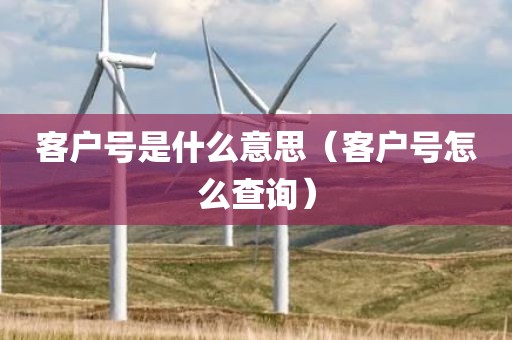 客户号是什么意思(客户号怎么查询)