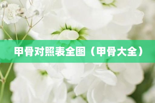 甲骨对照表全图（甲骨大全）