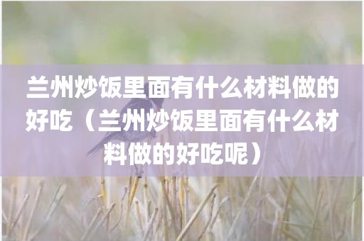 兰州炒饭里面有什么材料做的好吃（兰州炒饭里面有什么材料做的好吃呢）