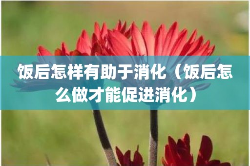 饭后怎样有助于消化（饭后怎么做才能促进消化）