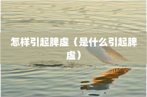 怎样引起脾虚（是什么引起脾虚）