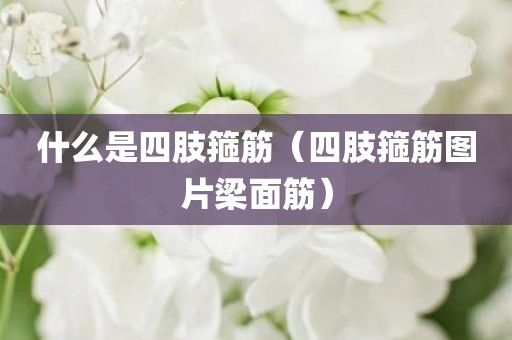 什么是四肢箍筋(四肢箍筋图片梁面筋)