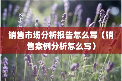 销售市场分析报告怎么写（销售案例分析怎么写）