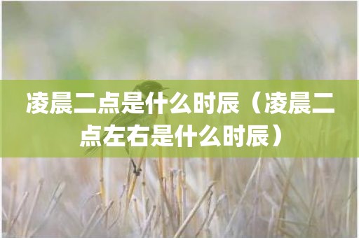 凌晨二点是什么时辰（凌晨二点左右是什么时辰）
