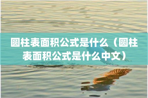 圆柱表面积公式是什么（圆柱表面积公式是什么中文）