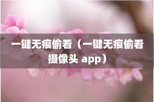 一键无痕偷看(一键无痕偷看摄像头 app) 一键无痕偷看(一键无痕偷看摄像头 app)