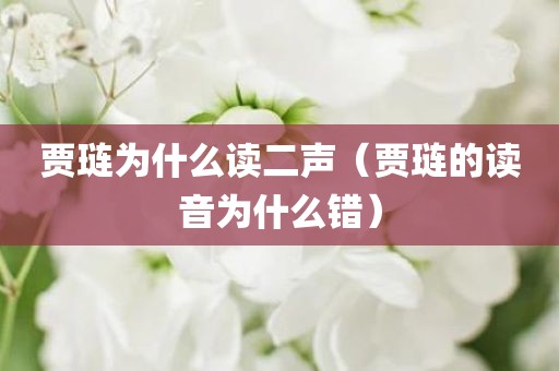 贾琏为什么读二声（贾琏的读音为什么错）