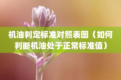 机油判定标准对照表图（如何判断机油处于正常标准值）