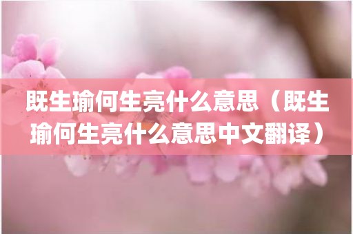 既生瑜何生亮什么意思（既生瑜何生亮什么意思中文翻译）