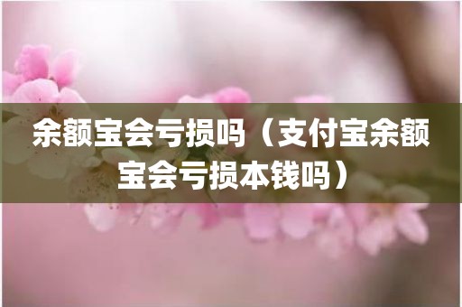 余额宝会亏损吗（支付宝余额宝会亏损本钱吗）